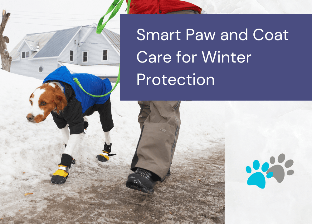 Pet Winter Preparation in Edmonton