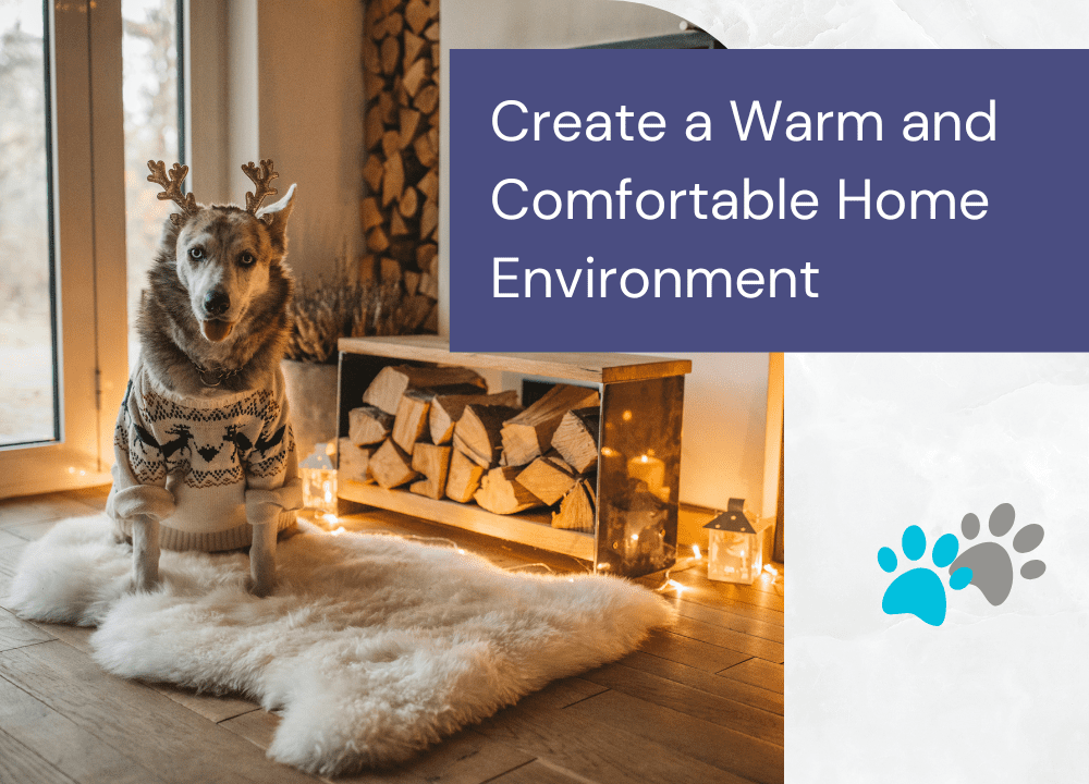 Pet Winter Preparation in Edmonton