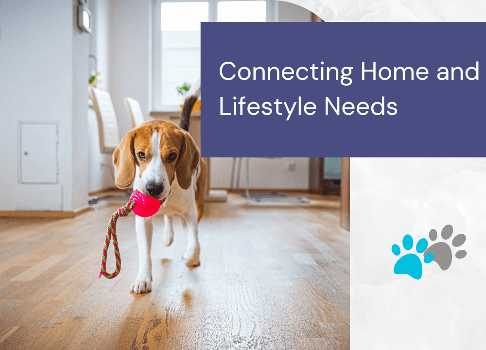 Pet Winter Preparation in Edmonton